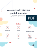 Histología Del Sistema Genital Femenino