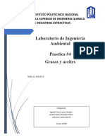 Practica 3 - Ambiental