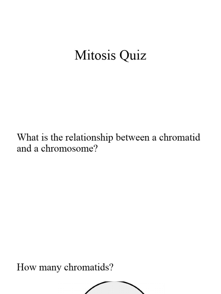 Mitosis Quiz | PDF