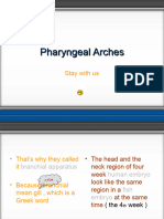 02-Pharyngeal Arches, Pouches and Clefts (Pure - Spirit)