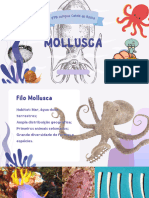 Mollusca Compressed