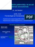 Akciós Potenciál És Ionáramok