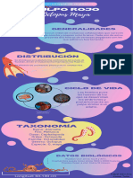 Infografía Proceso de Compra Online 3d Ilustrado Gradiente Violeta