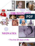 The Neonates