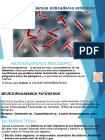 Enterobacterias - Coliformes - E. Coli - Criterio Microbiolã Gico - COMPLETO