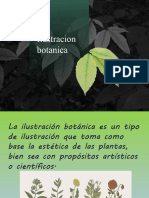 Ilustracion Botanica