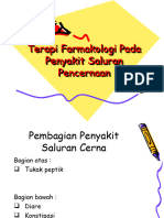 Terapi Pada Saluran Cerna