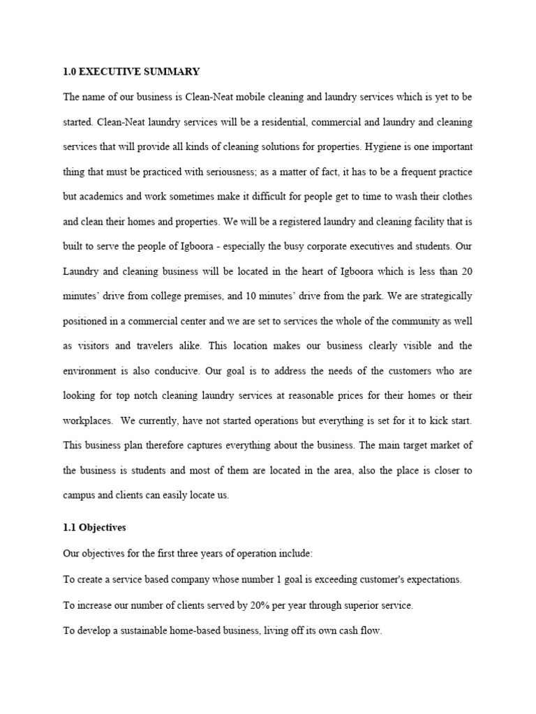 Laundry Business Plan PDF Pricing Profit (Economics)