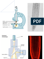 PH Biosensors Tutorial