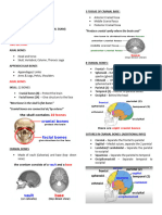 Axial and Appendicular Bones