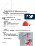 Digestive System Fact Sheets