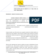 Petição - Especficar Provas e Reiterar Alimentos Provisórios