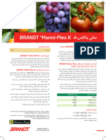 ManniPlex K Arabic A4 2022 03 Press