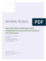 Informe Programa de Vigilancia ENAMI (456005)