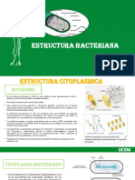 Tema 02 - Morfologia y Ultra Estructura Bacteriana