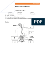 Speaking Test Revision