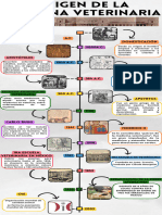 Origen de La Medicina Veterinaria - Dgpe