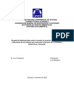 Ensayo 1 Perspectiva Epistemológica Luis Rodríguez