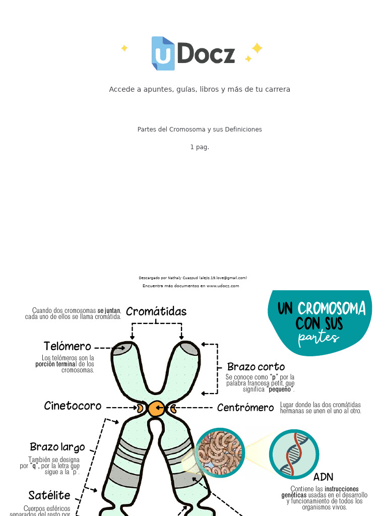 PPT - 1.INFORMACIÓN GÉNICA Y PROTEÍNAS PowerPoint Presentation, free  download - ID:4186668, image size:768x1024