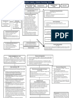 Esquemas Derecho Procesal Penal