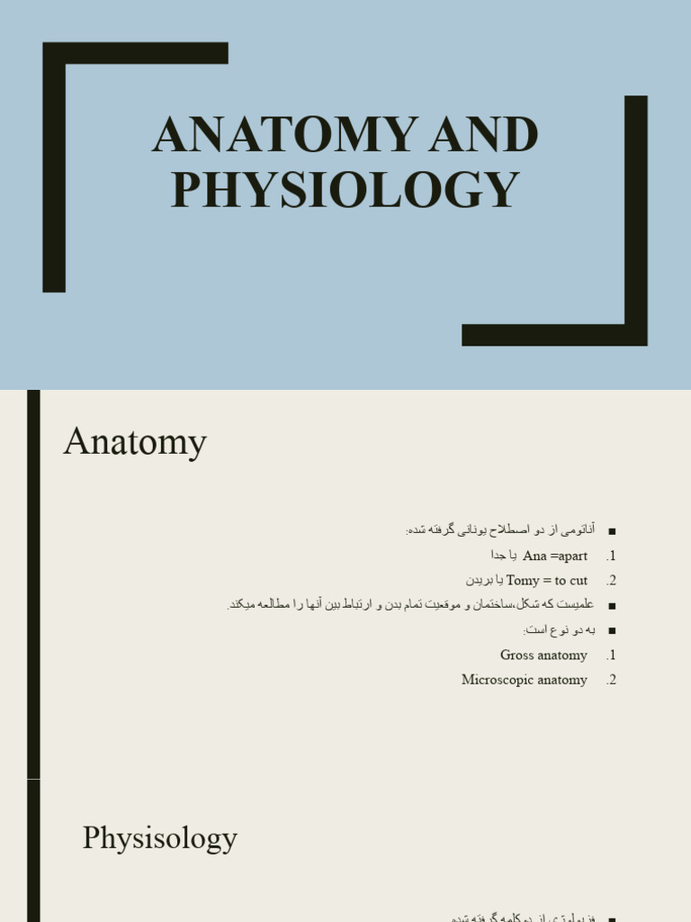 Anatomy A1 | PDF