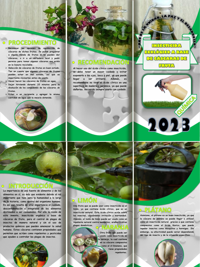 Insecticida Orgánico con Cáscaras de Fruta | PDF | Insecticida | Insectos