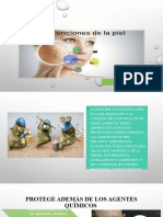 Piel Funciones Dermato