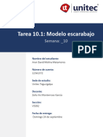 Tarea 10.1 Modelo Escarabajo