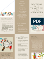 Triptico de Adicciones