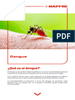 Cartilla Mapfre Dengue 2023 (2)