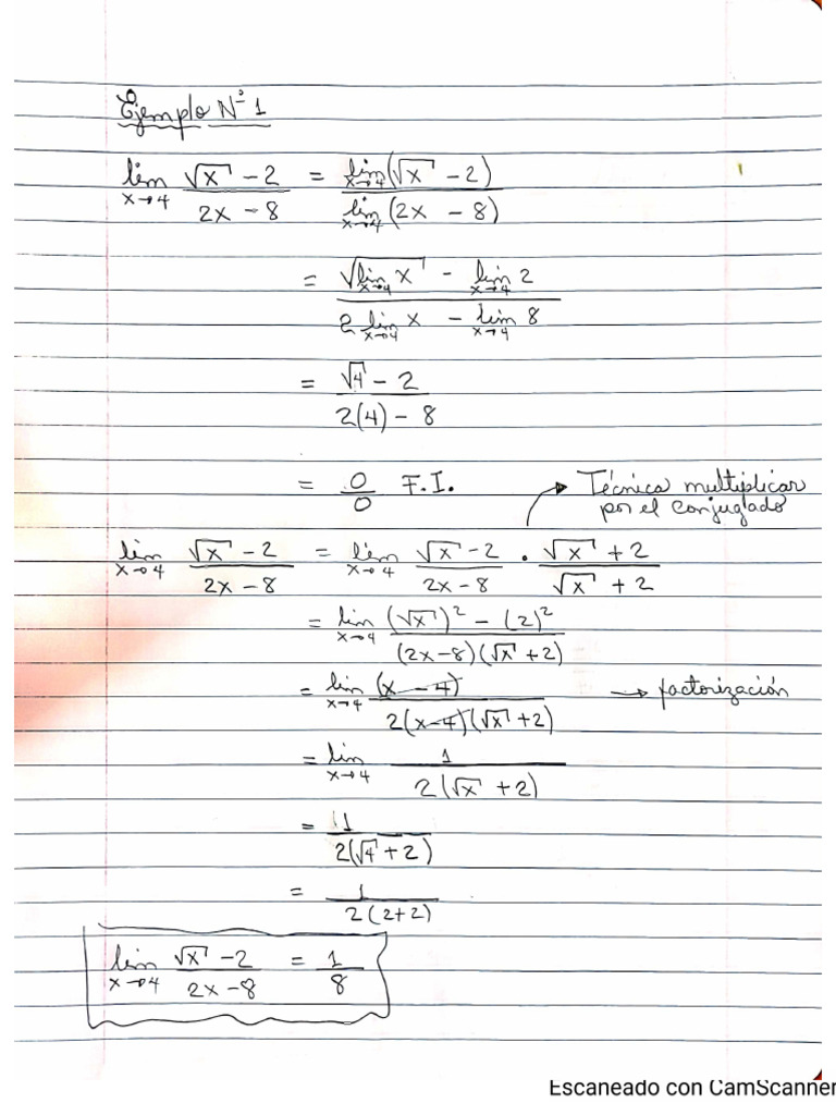 Ejemplos de Forma Indeterminada Practica21 PDF PDF