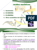 Tema 5 Bio 2 Bac Acidos Nucleicos