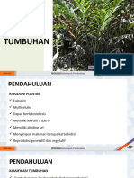 BAB 8 Dunia Tumbuhan (Plantae)