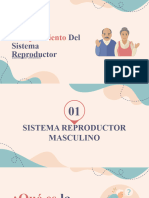 Envejecimiento del Sistema Reproductor