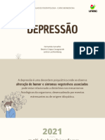 Trabalho Fisiologia - Depressão