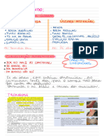 Aula de Semio Teórica 17-03 (Artérias) 2