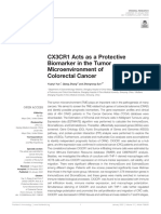 CX3CR1 Acts As A Protective Biomarker in The Tumor Microenvironment of Colorectal Cancer