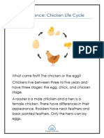 Chicken Cycle