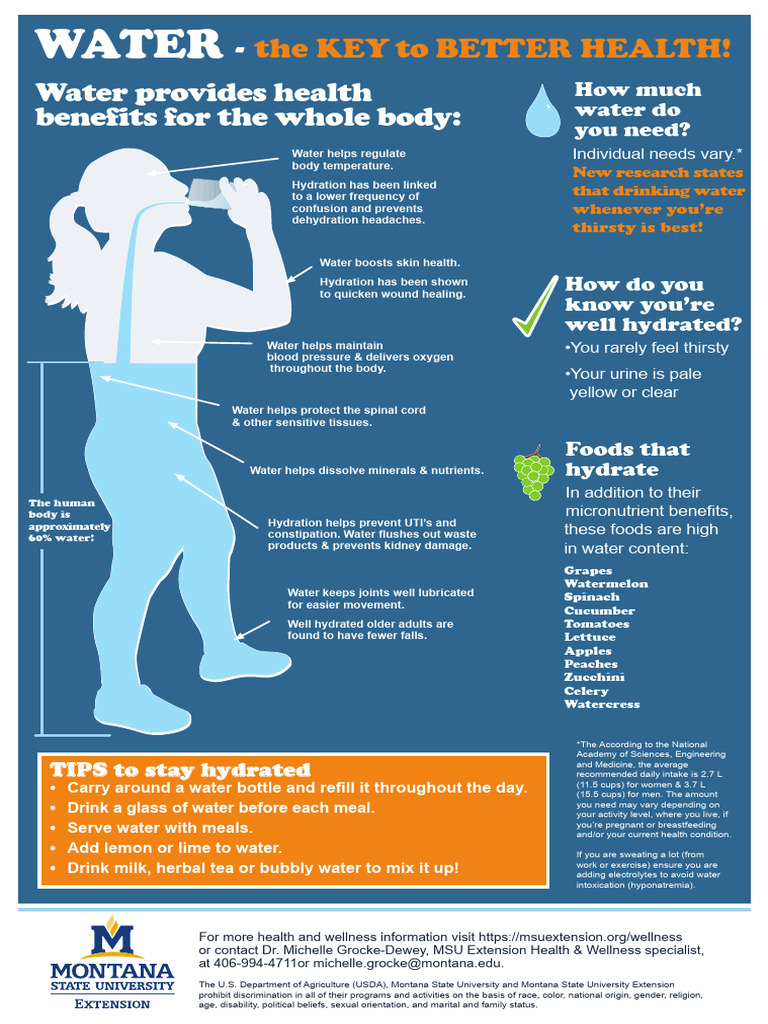 Essential Tips for Staying Hydrated | PDF | Water | Dehydration
