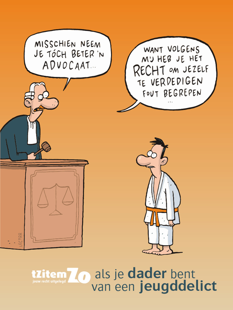2199 Tzitemzo Als Je Dader Bent Van Een Jeugddelict 2020 | PDF