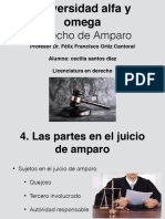 Ley de Amparo Diapositivas 5, 6 y 7