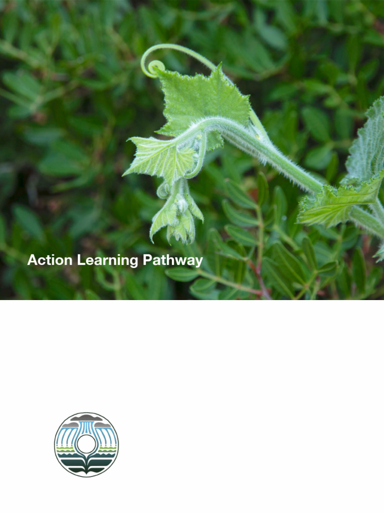 Diploma 2015 Learning Pathway Pdf Permaculture Mentorship