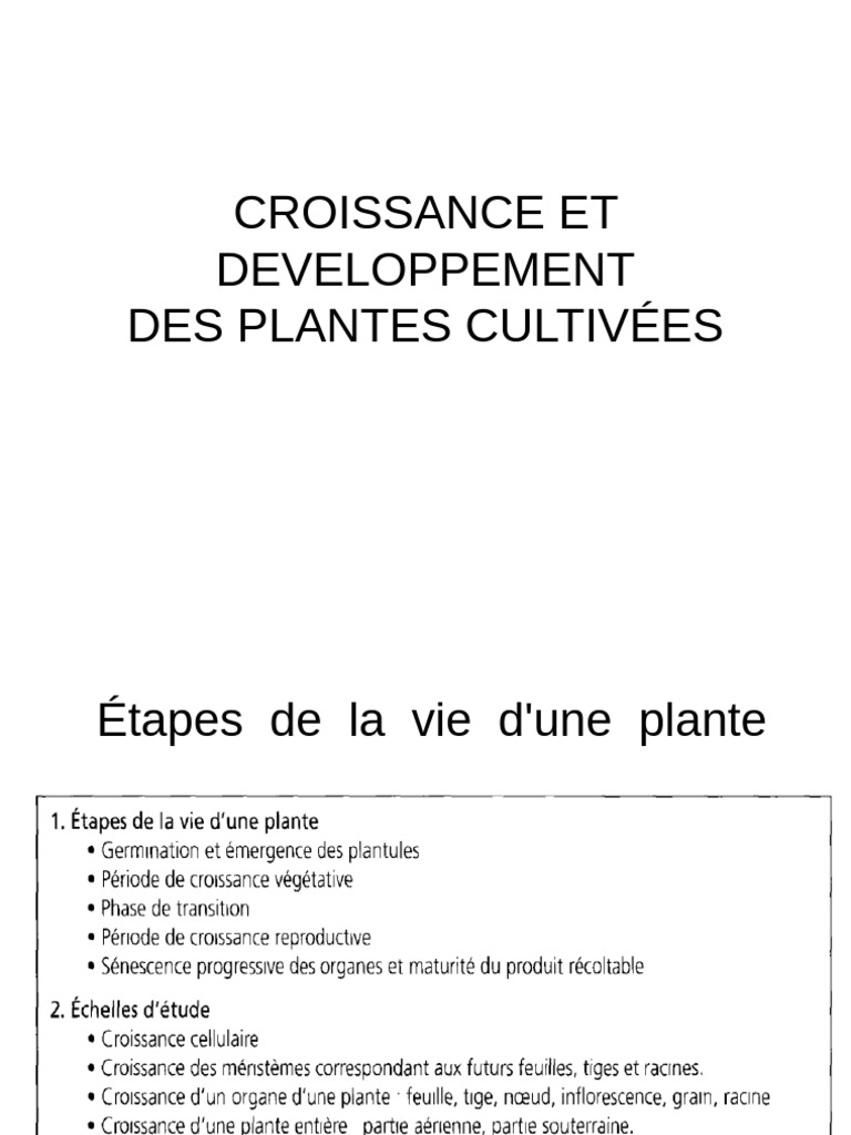 Croissance et développement des plantes | PDF | Auxine | Germination