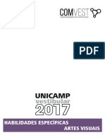 Artes Visuais Unicamp 2017