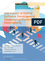 The Future of Hybrid Software Development Challenging Current Assumptions