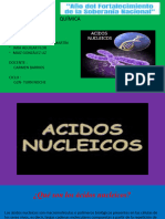 Ácidos Nucleicos