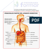 Aparato Digestivo-1