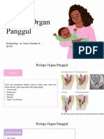 Prolaps Organ Panggul: Pembimbing: Dr. Nenny Yoanitha D., SP - OG