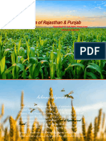 Crops of Rajast-WPS Office 2