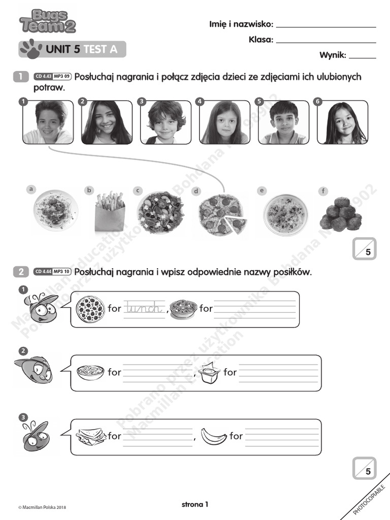 Unit 5 Test A Bugs Team 2 | PDF
